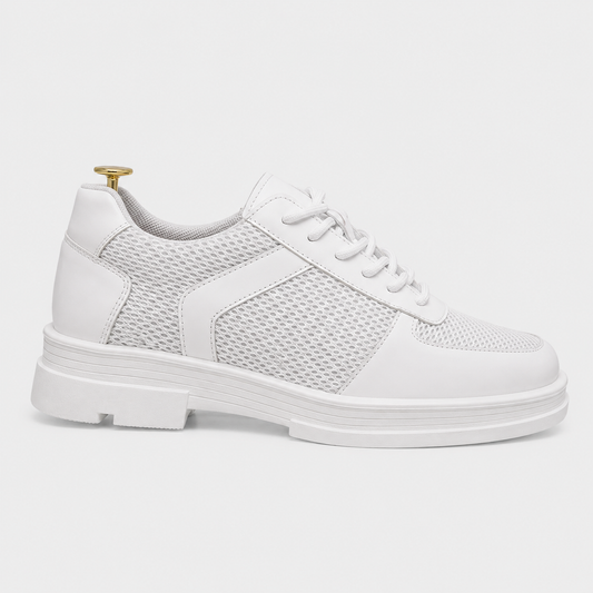 Tenis estilo Oxford Jackson